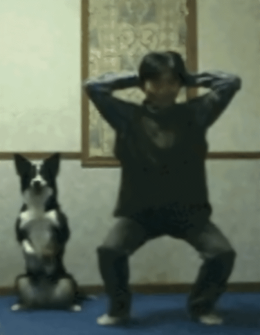 20230608_011021.gif