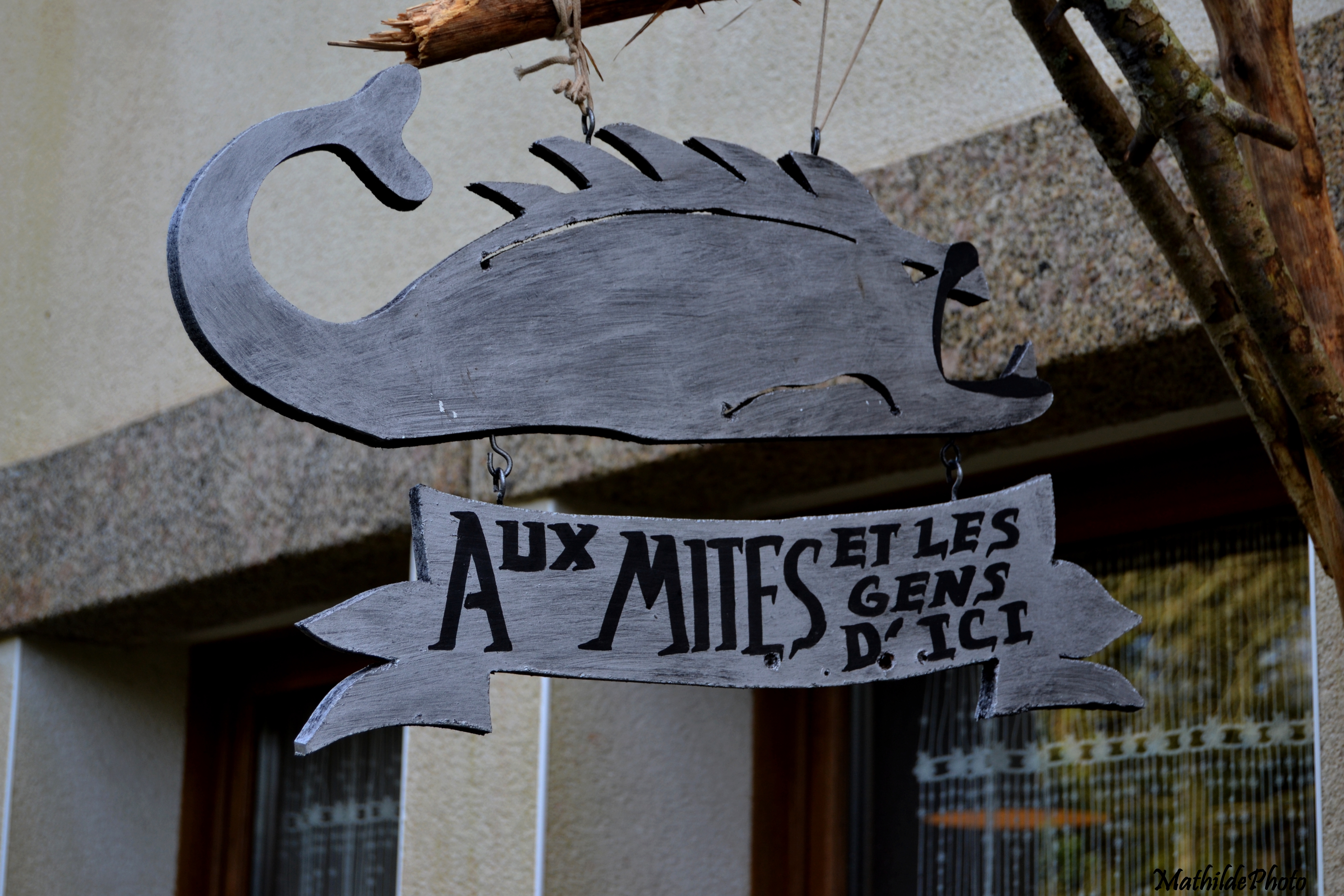 "Aux mites et les gens d'ici"