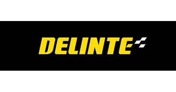 Logo Delinte