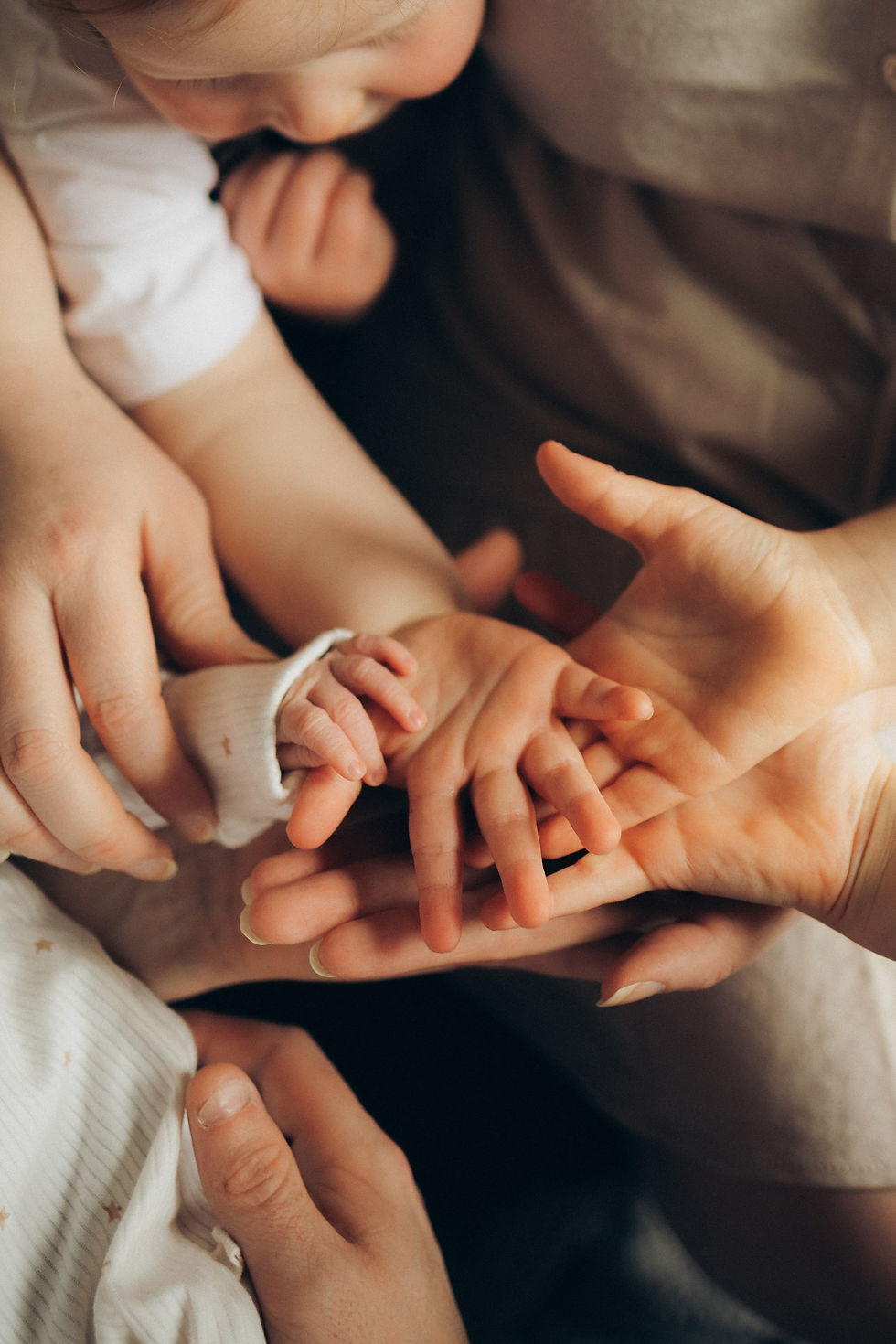 Newborn - family hands