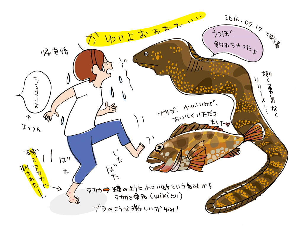 2016.07.17