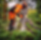 guy cutting tree.png