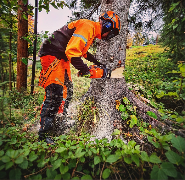 guy cutting tree.png