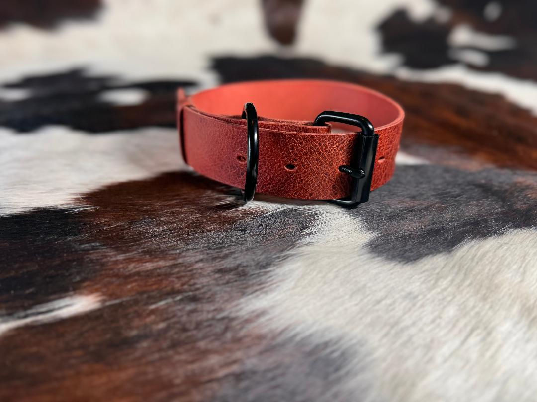 WATER BUFFALO BASIC LEATHER COLLAR