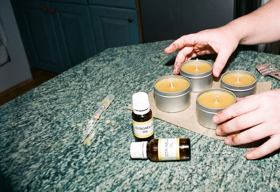four set citronella candles and essential oil on counter