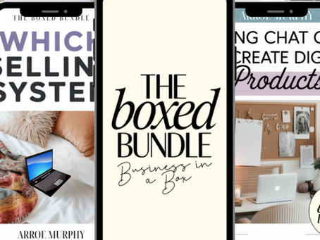 Boxed Bundle with PLR Rights and MRR