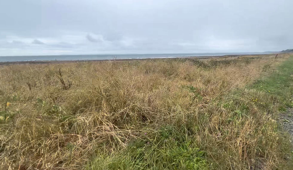 landscape rural scotland coastal