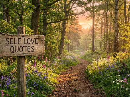 Woodland path representing Self Love Quotes and personal growth.