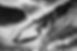 ®Rovai.ART_67.JPG