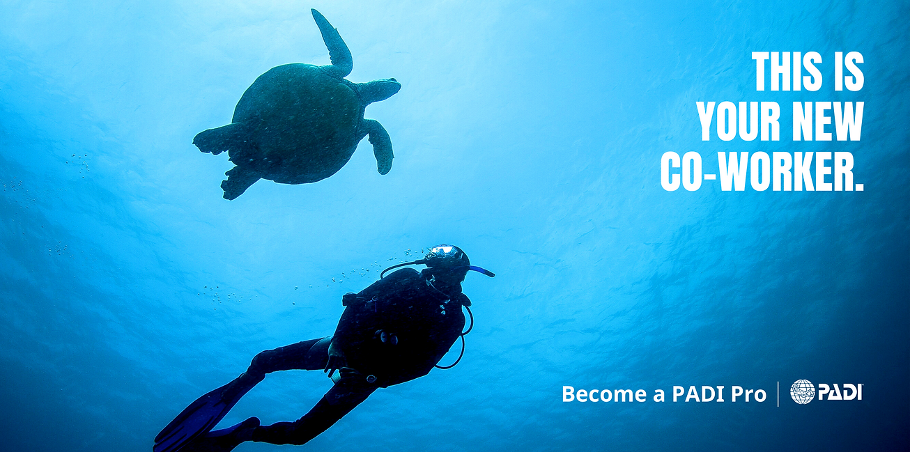 PADI Divemaster Course