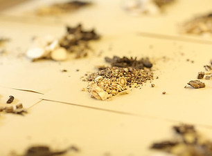 traditional-chinese-chinese-medicine-tre