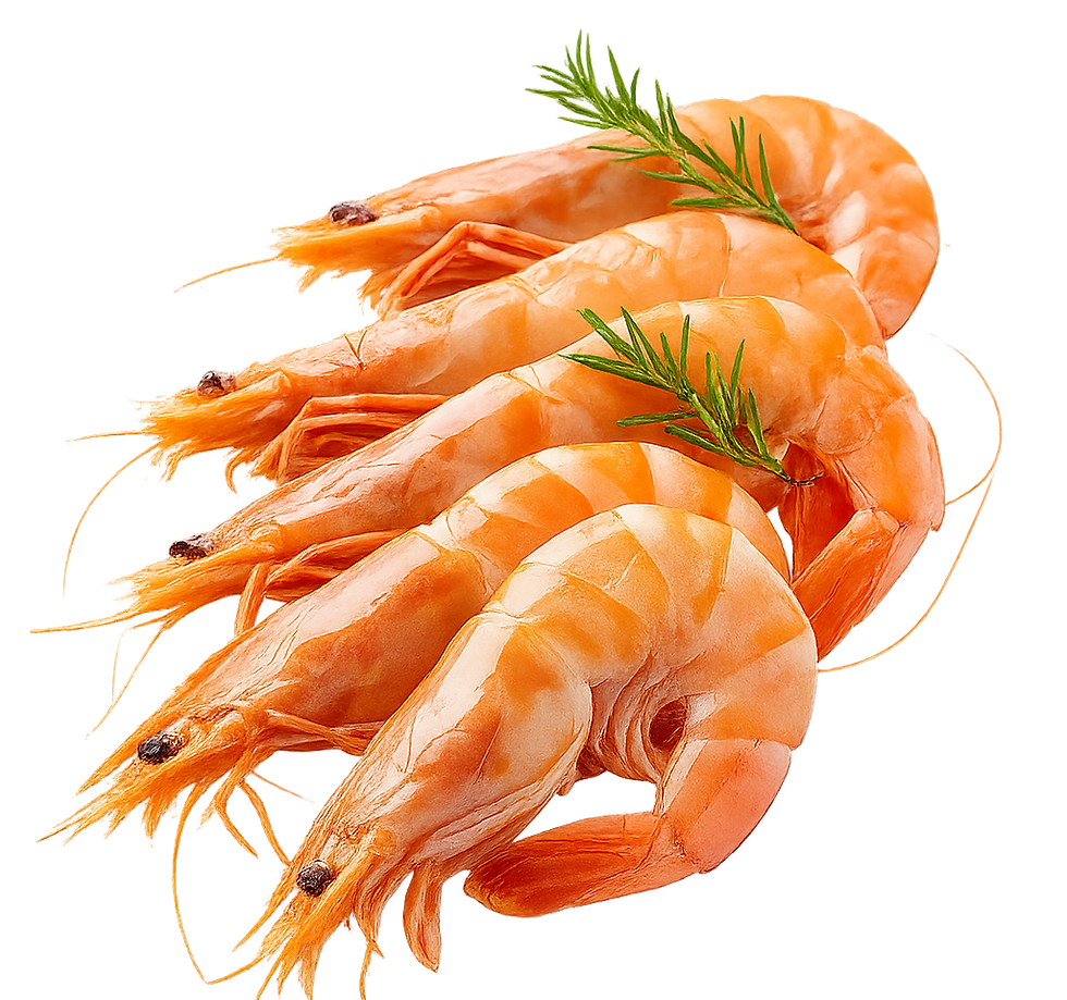 prawns without bg.png