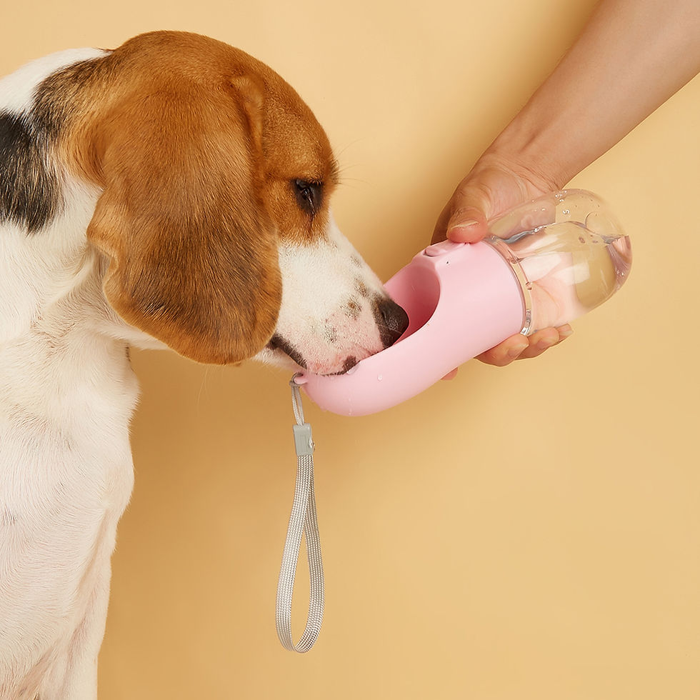 Thumbnail: HydraGo Portable Pet Water Bottle