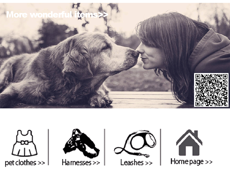 Thumbnail: StormPaws Waterproof Dog Rain Suit