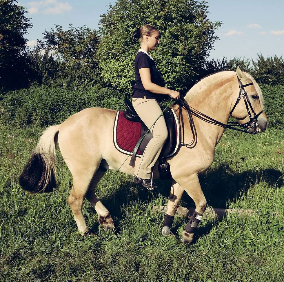 Linda in jungen Jahren auf ihrem treuen Wegbegleiter Rongar bei der Piaffe.