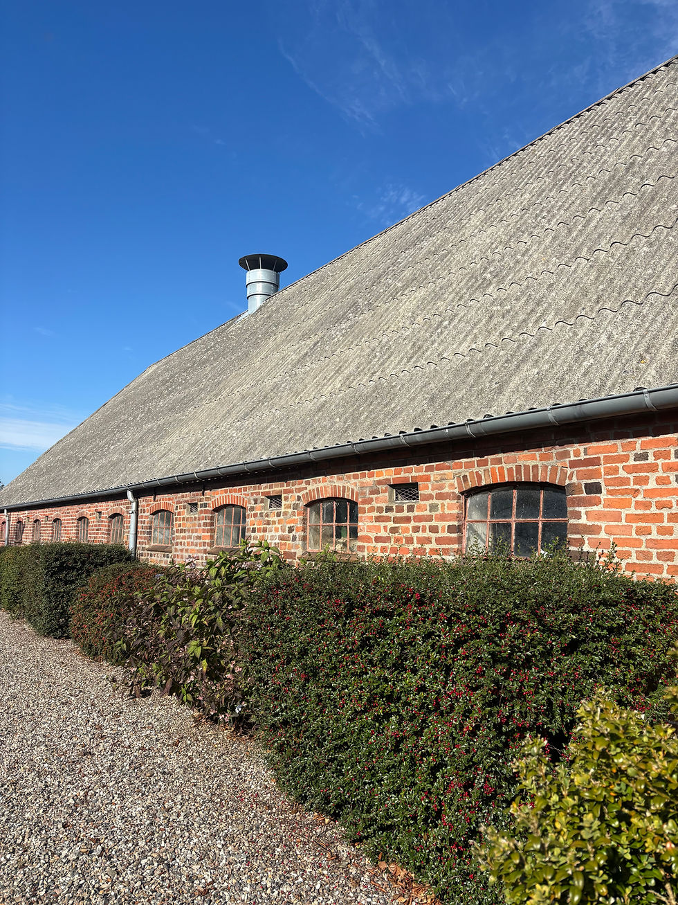 Unser Stallgebäude auf Mollerup: Rotes Backsteingebäude aus 1875 mit grauen Dach und Hecke, blauer Himmel.