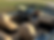 Carequest_Courtier automobile suisse_Aston Martin DB9 Volante_Carequest_Courtier automobil