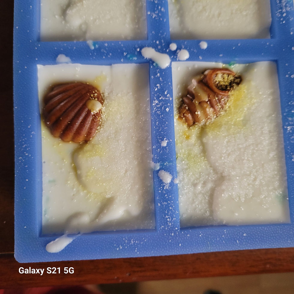 WhatsApp Image 2026-03-03 at 11.03.34 (1).jpeg