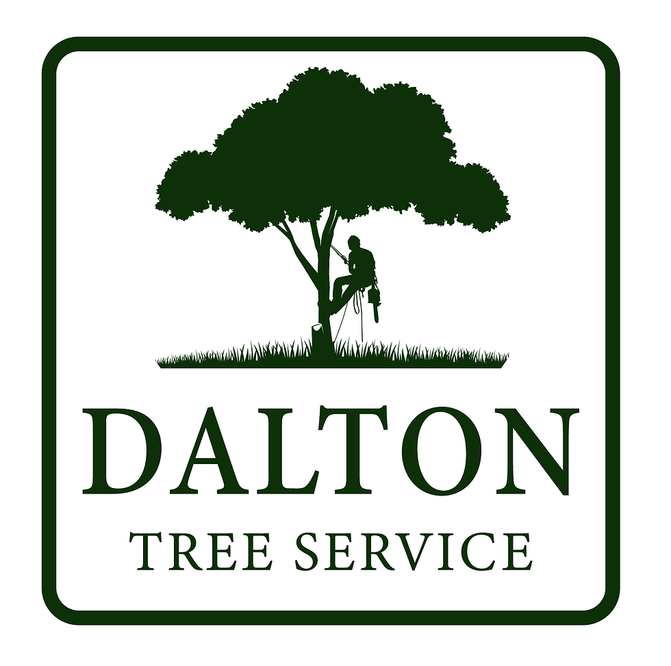 DaltonTreeService-NextdoorLogo(Green)2.png
