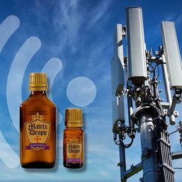 5G electrosmog EMF MM protector