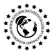 logo%20nero%203_edited.png