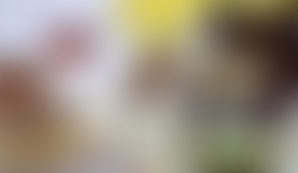 Radnor Preserves New Brands