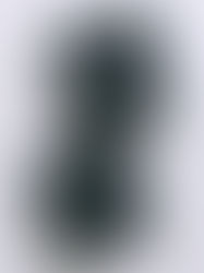 GIVENCHY - PRISME LIBRE LOOSE POWDER 