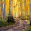 Thumbnail: Aspen Forest Autumn Drive - Colorado Landscape Photography by Daniel Forster