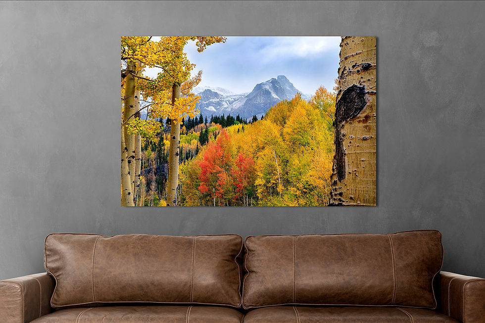 living room mockup of San Juan Mountains Landscape Photo Print - Autumn Forest and Snowcapped Peaks by Daniel Forster Photo