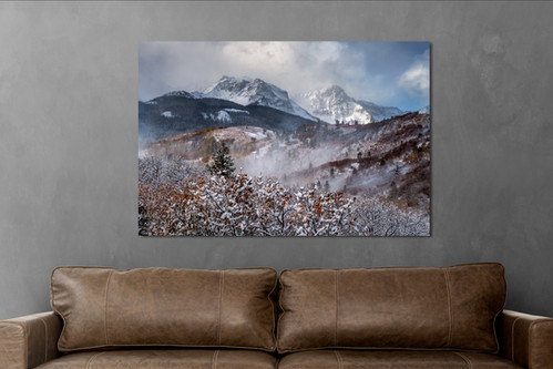 San Juan Mountains Autumn Forest Fine Art Print | Colorado