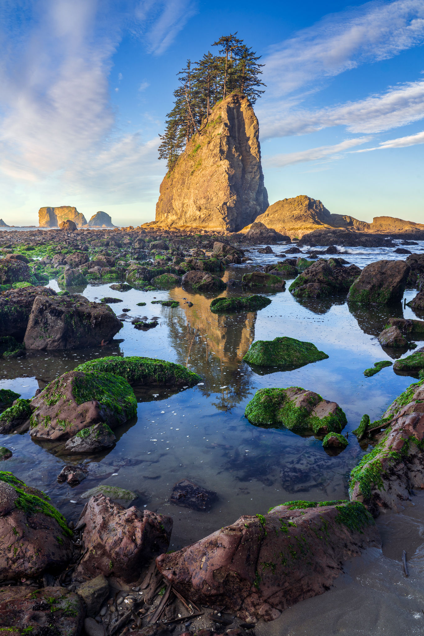 Second Beach Photography Print - Olympic National Park Seascape Fine Art by Daniel Forster