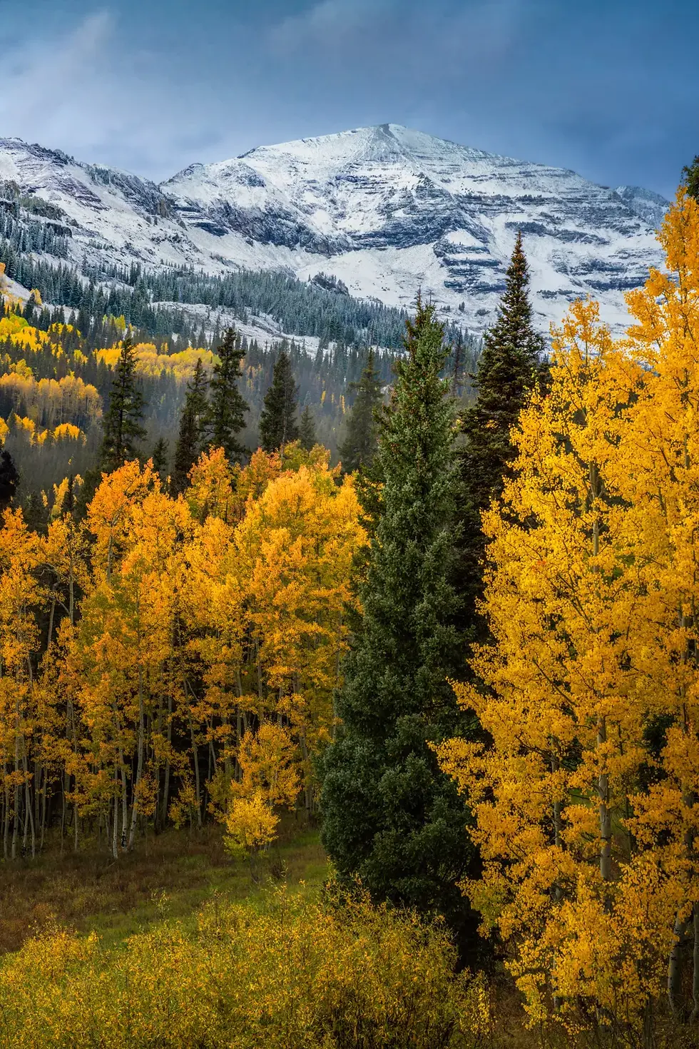 Autumn Landscape Photo - Kebler Pass Colorado - Image of Snowcapped Ruby Peak by Daniel Forster Photography