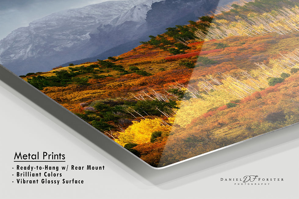 Thumbnail: metal print of Colorado Fall Colors Landscape Print - San Juan Mountains Autumn Fine Art Photo by Daniel Forster Photography