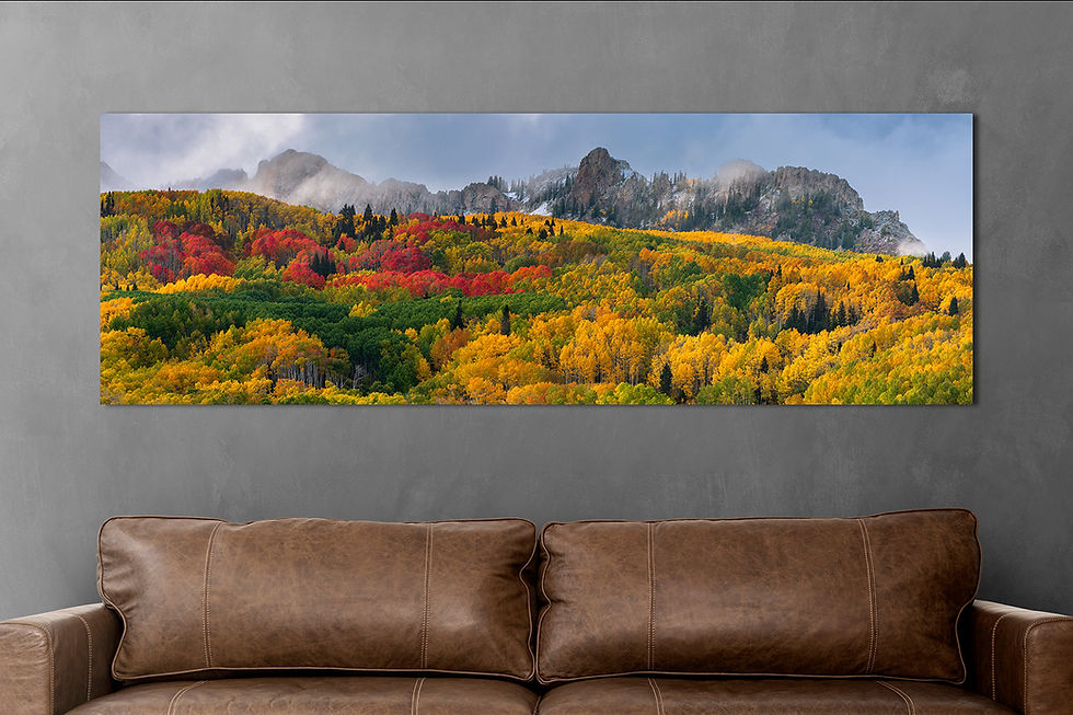 Thumbnail: photo over couch of Kebler Pass Autumn Panorama | Colorado Fall Colors Aspen Print by Daniel Forster Photography