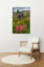 sitting area photo Waterfall Wildflowers San Juan Mountains Colorado Landscape Print by Daniel Forster