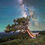 Thumbnail: Colorado Nightscape Milky Way Fine Art | Ancient Bristlecone Pine Tree Photo by Daniel Forster