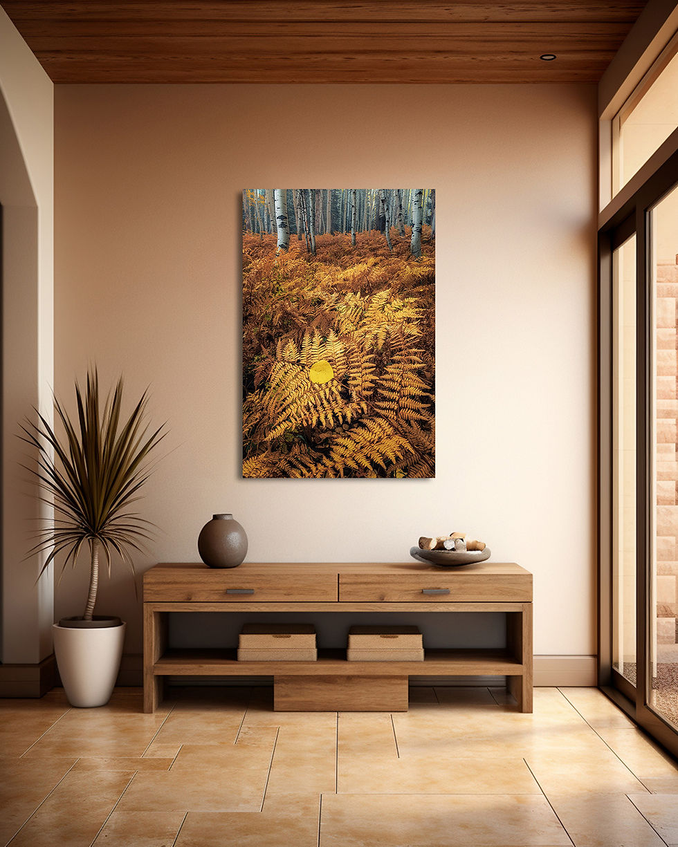 foyer photo of Kebler Pass Autumn Ferns Photo - Nature Photography Print - Forest Fine Art by Daniel Forster