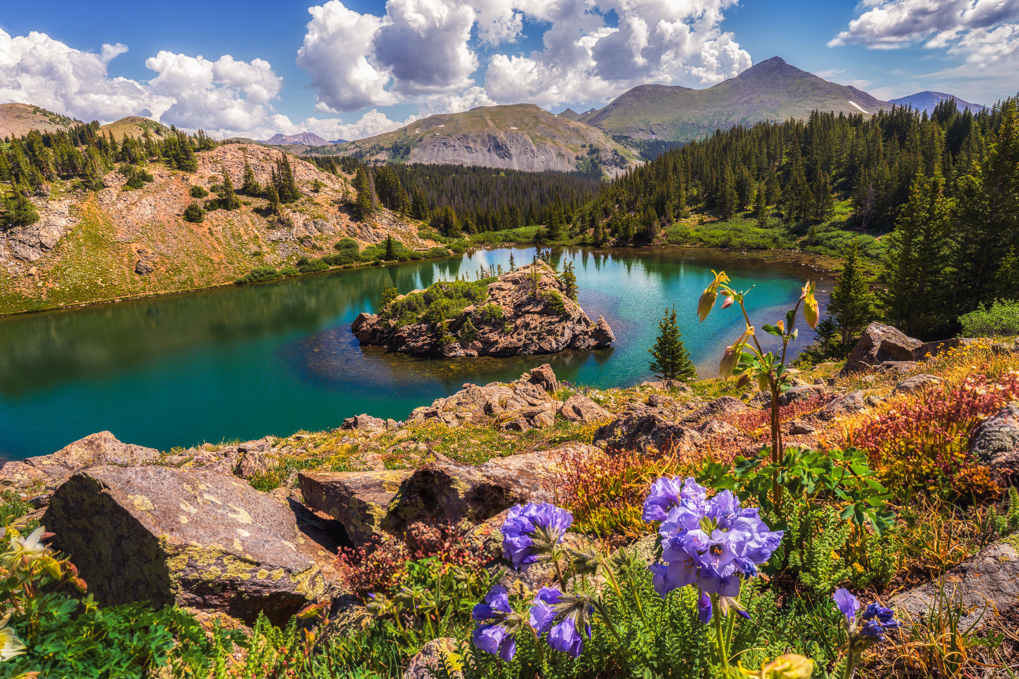 Lost Lake Photo - Colorado Landscape Picture - Summer Wildflowers Photography Print - Fine Art Photograph by Daniel Forster