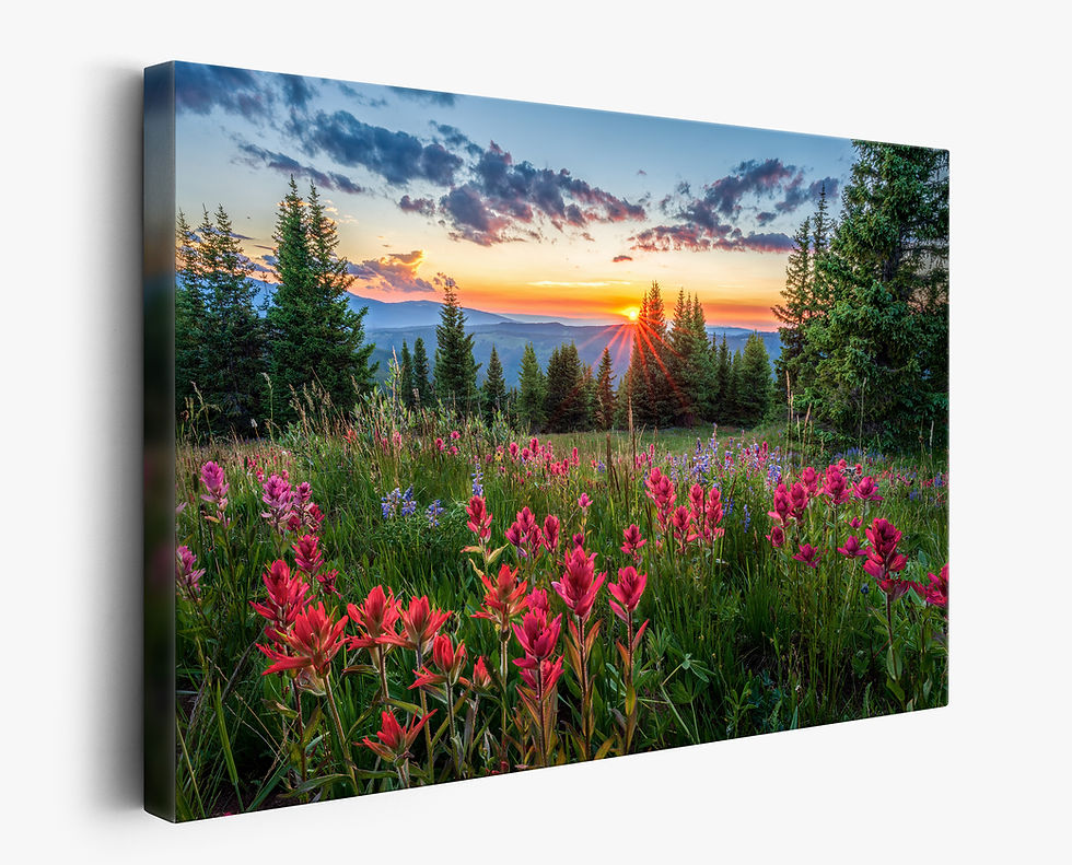Thumbnail: canvas mockup of Colorado Landscape Photography - Wildflower Sunset Photo - Shrine Ridge in White River National Forest