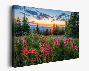 Landscape Canvas Prints - Colorado Landscape Photography - Wildflower Sunset Photo