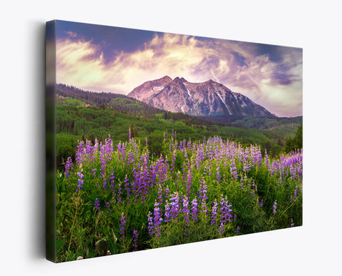 Kebler Pass Canvas Print - Crested Butte Colorado Landscape Wall Art - Lupine Visions by Daniel Forster Photography