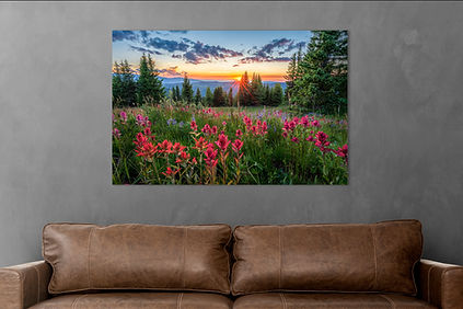 Colorado Landscape Photography - Wildflower Sunset Photo - Shrine Ridge in White River National Forest - Wall Mockup