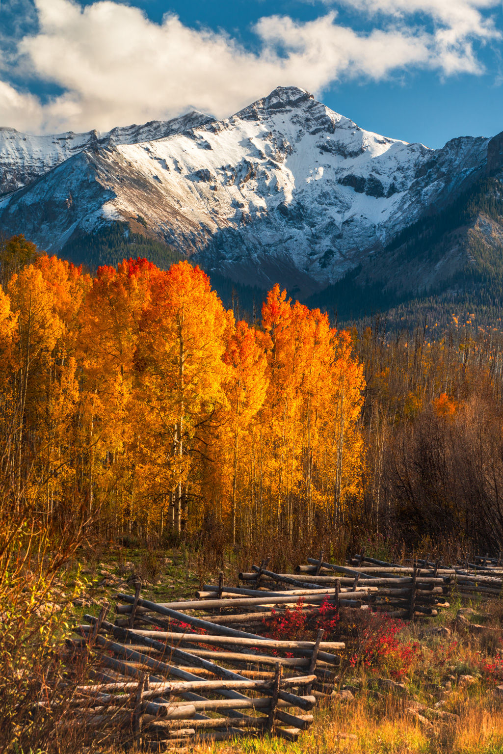 San Juan Mountains Autumn Photo - Fall Colors Mountain Landscape Print by Daniel Forster Photography