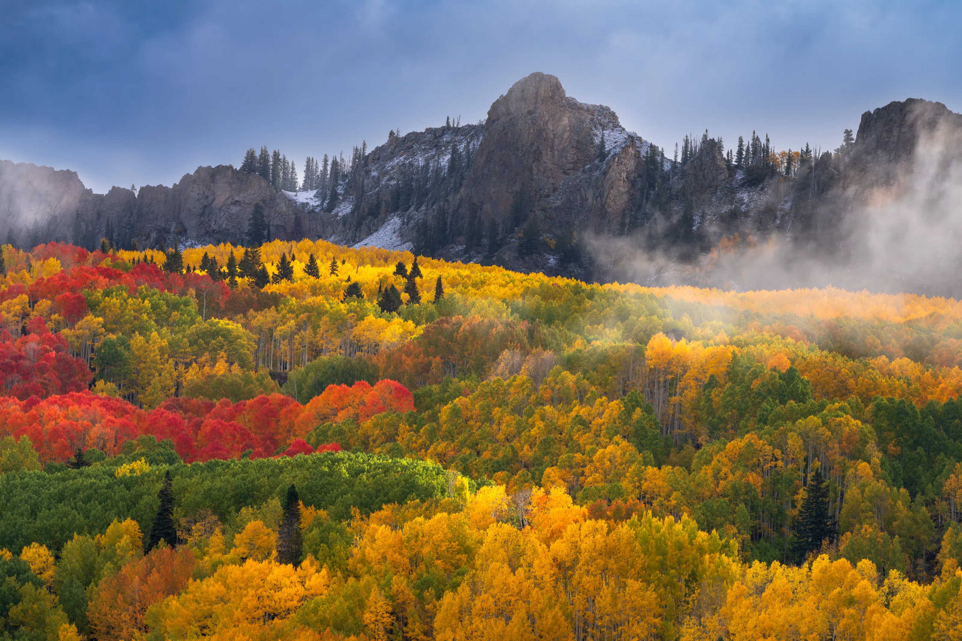 Kebler Pass Fine Art Print - Colorful Colorado Autumn Aspen Wall Art