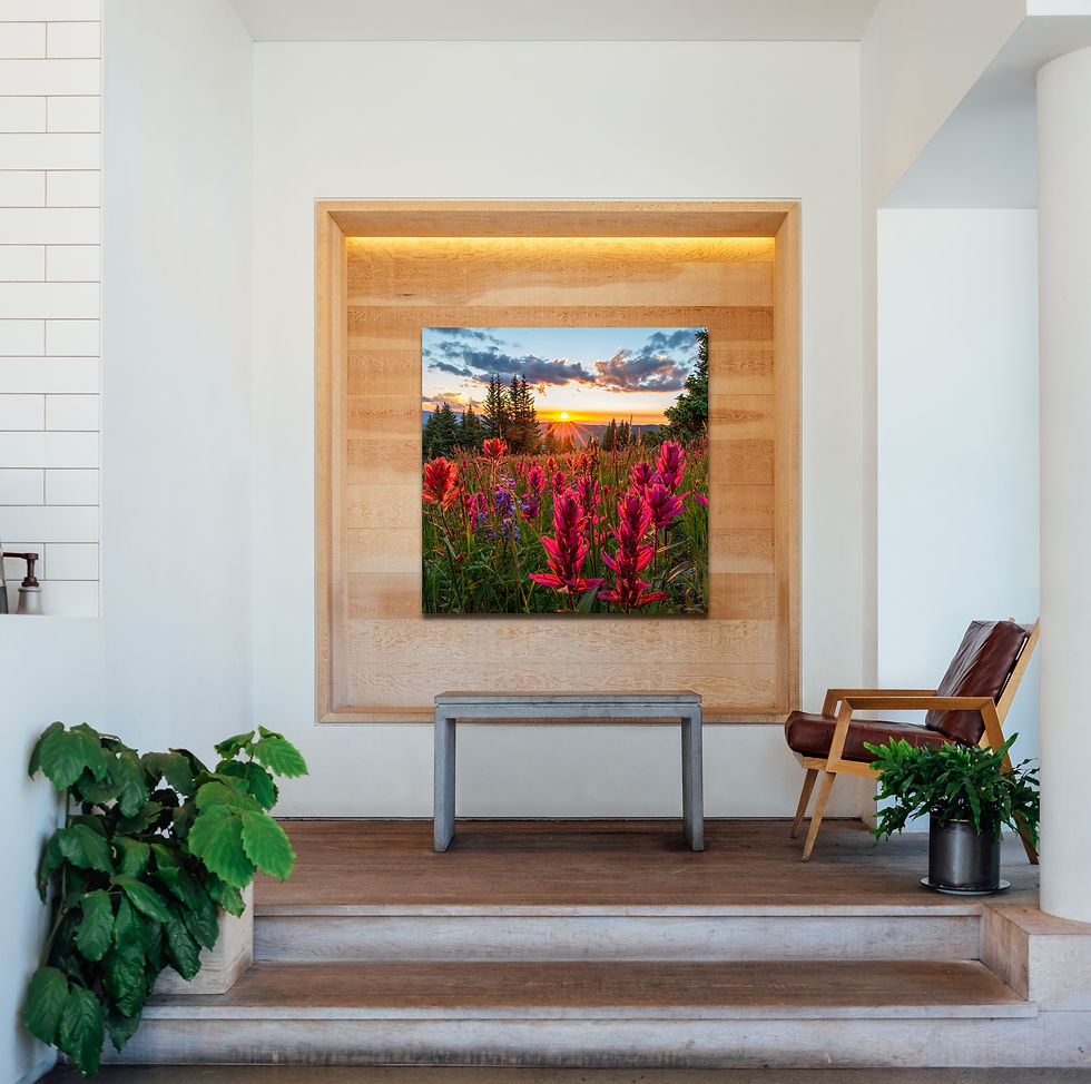 Thumbnail: Colorado Wildflower Photo - Square Wall Art - Fine Art Landscape Photography