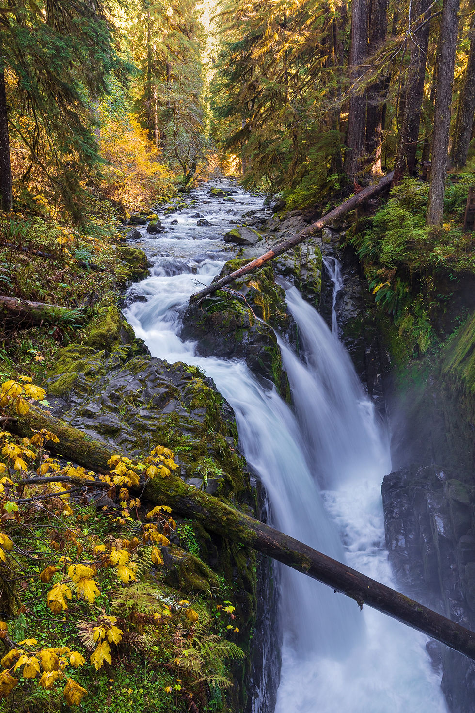 Sol Duc Falls Photo - Olympic National Park Waterfall Photography Print by Daniel Forster