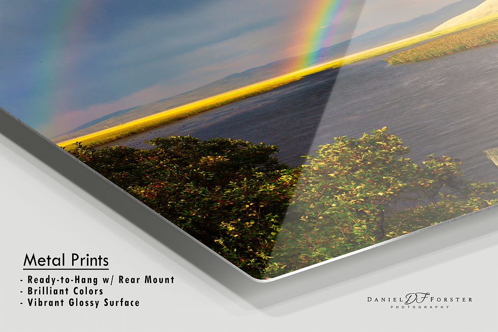 Thumbnail: metal print mockup of Double Rainbow Jackson Wyoming National Elk Refuge Landscape Photography Prints