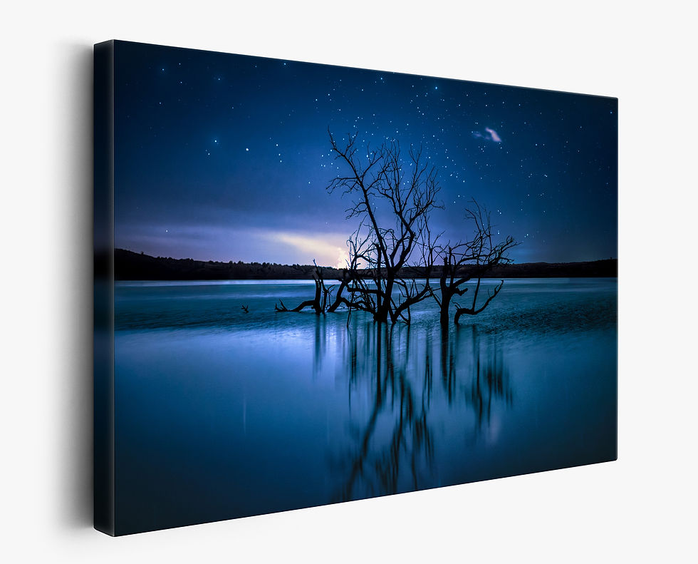 Thumbnail: canvas print of Old Trees and Reflection at Night Under the Stars in Pueblo County Colorado by Daniel Forster Photography