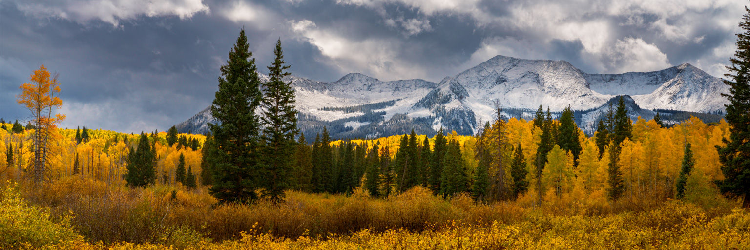 Kebler Pass Fall Colors Panorama | Elk Mountains Autumn Fine Art Print by Daniel Forster Photography