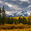 Thumbnail: Kebler Pass Fall Colors Panorama | Elk Mountains Autumn Fine Art Print by Daniel Forster Photography